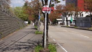 「文化の森前」バス停留所