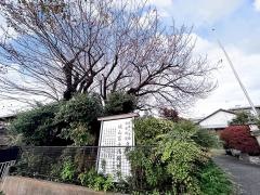 城山富士浅間神社