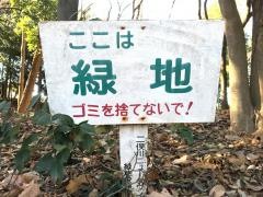 二俣川ニュータウン緑地