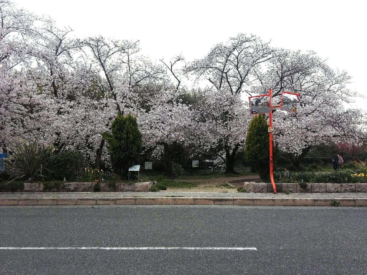 いたすけ公園