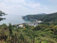 大避神社