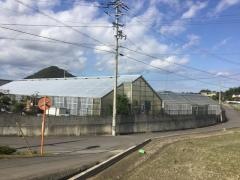 錦鯉みやたけ