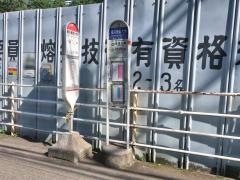 「横浜美術大学」バス停留所