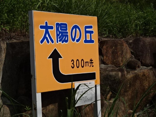 太陽の丘