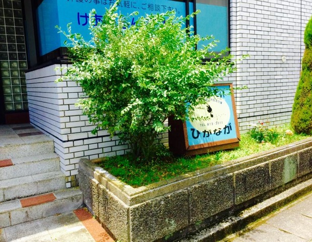 しょ〜とすていひがなが