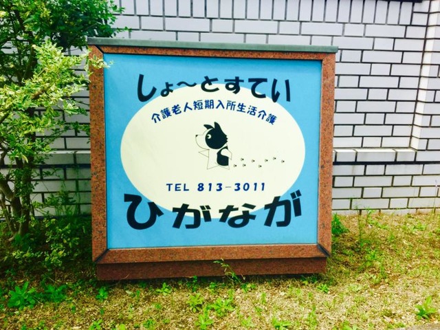 しょ〜とすていひがなが