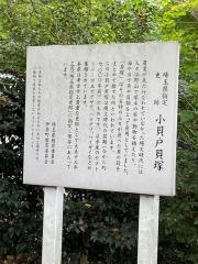 小貝戸貝塚