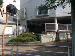 桜丘小学校