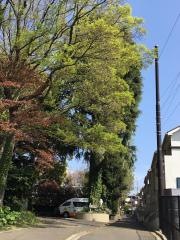 まこと幼稚園