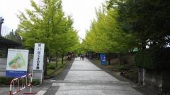 私立神奈川大学附属中学校