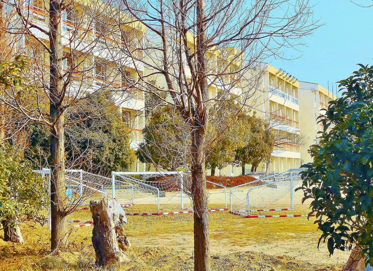 樹木からの校舎
