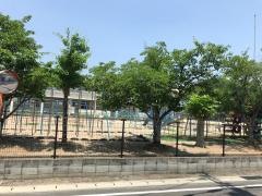 江西小学校