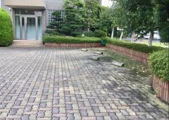 田村歯科医院