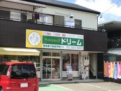 ドリーム