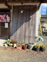 千代新