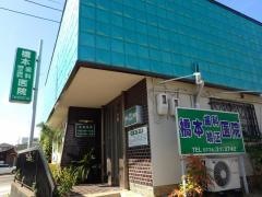 橋本歯科