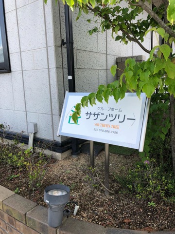 サザンツリー