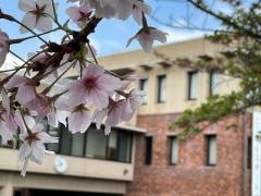 東京都立大山高等学校