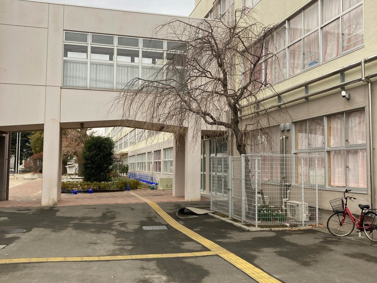 渋谷小学校の施設外観です。