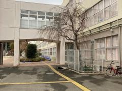 渋谷小学校