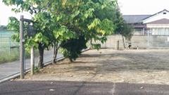八反地公園