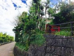 小さき花の幼稚園
