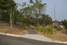 伊倉浜自然公園