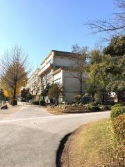 柏第八小学校
