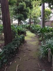 江原屋敷森緑地