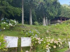 21世紀の森公園
