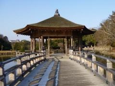 奈良公園