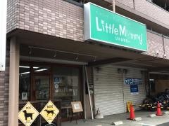 リトルマミー