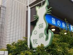 猫の病院エムズキャットクリニック