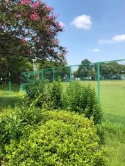 野田公園野球場