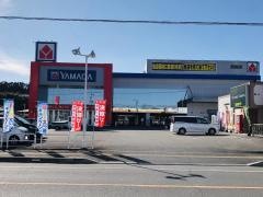 ヤマダ電機　テックランド西都店