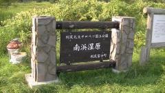 南浜湿原