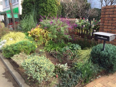 スタディピア 日本ガーデンデザイン専門学校 藤沢市大鋸