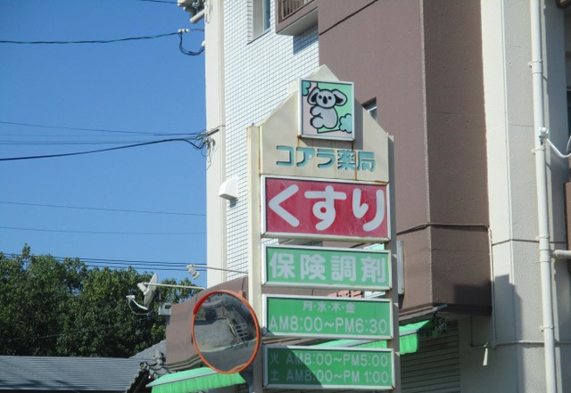 投稿写真1