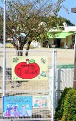 本地こども園