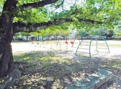井田公園