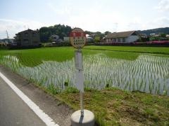 「冬田」バス停留所