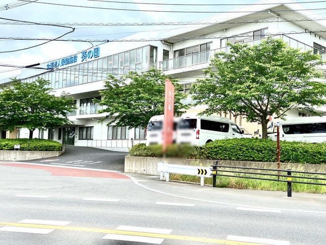 葵の園・沼南