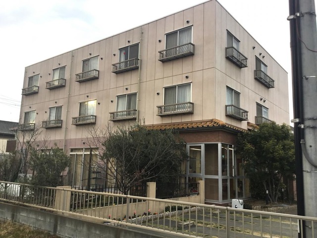 サルピスあけび
