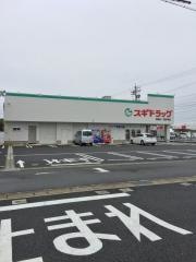 スギドラッグ　柏森店