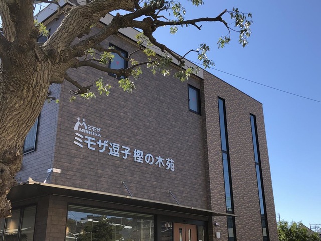 ミモザ逗子樫の木苑 雰囲気