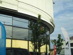 Ｈｏｎｄａ　Ｃａｒｓ岐阜可児広見店