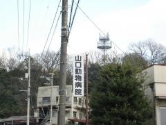 山口動物病院