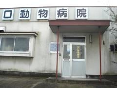 山口動物病院