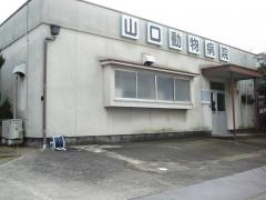 山口動物病院