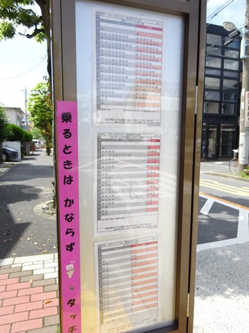 投稿写真1